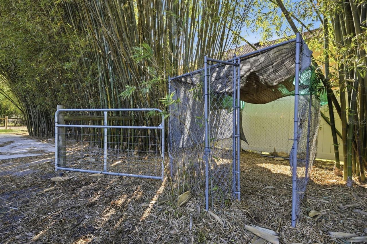 3752 Old Keystone Road, Tarpon Springs, FL 34688 Photo