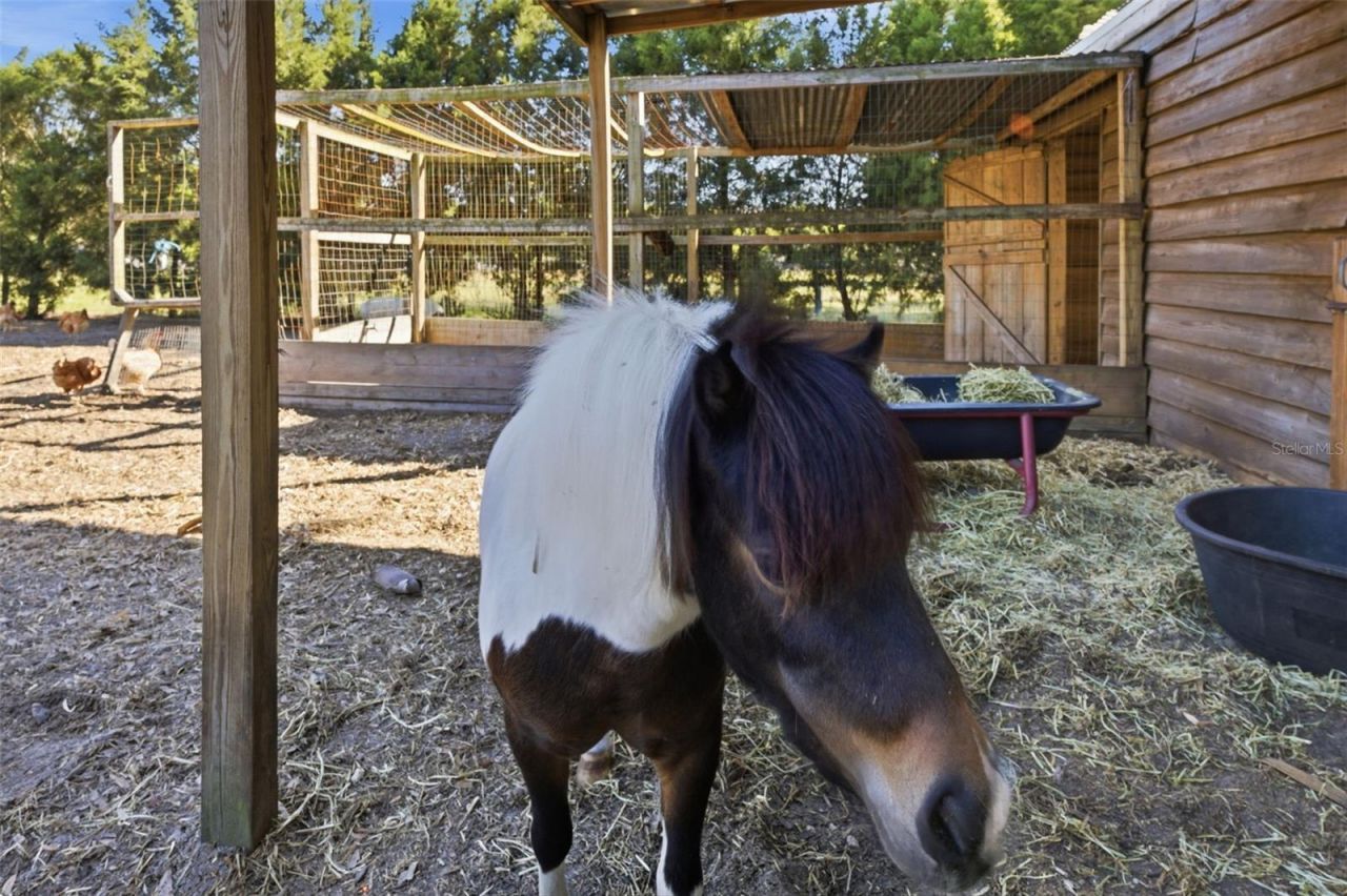 3752 Old Keystone Road, Tarpon Springs, FL 34688 Photo