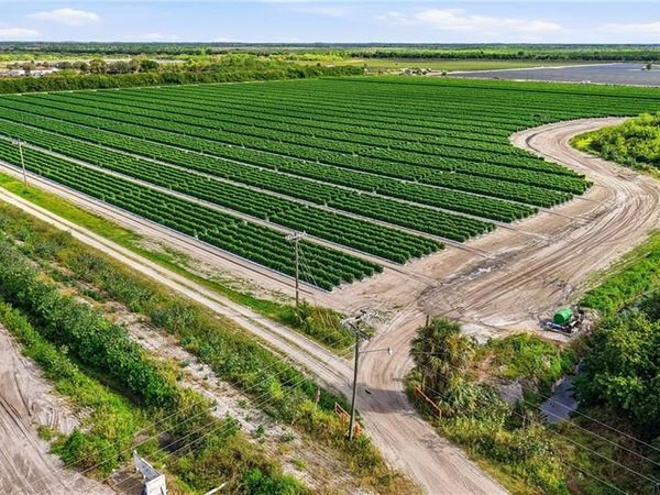 6150 Pringle LN, IMMOKALEE, FL 34142