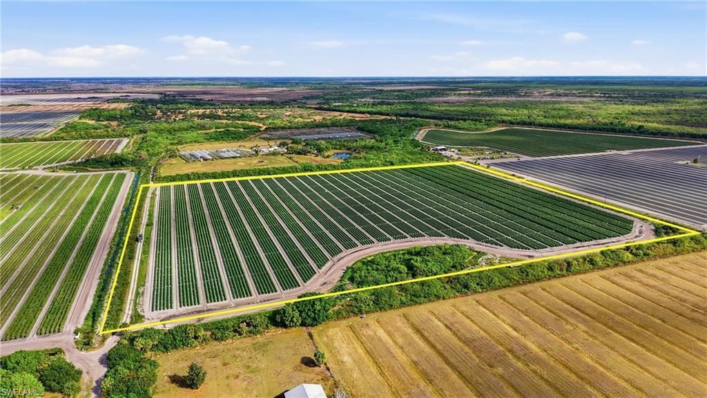 6150 Pringle Ln , Immokalee, FL 34142 Photo