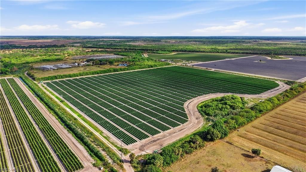 6150 Pringle Ln , Immokalee, FL 34142 Photo