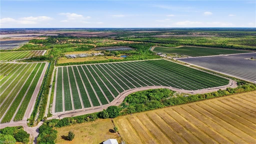 6150 Pringle Ln , Immokalee, FL 34142 Photo