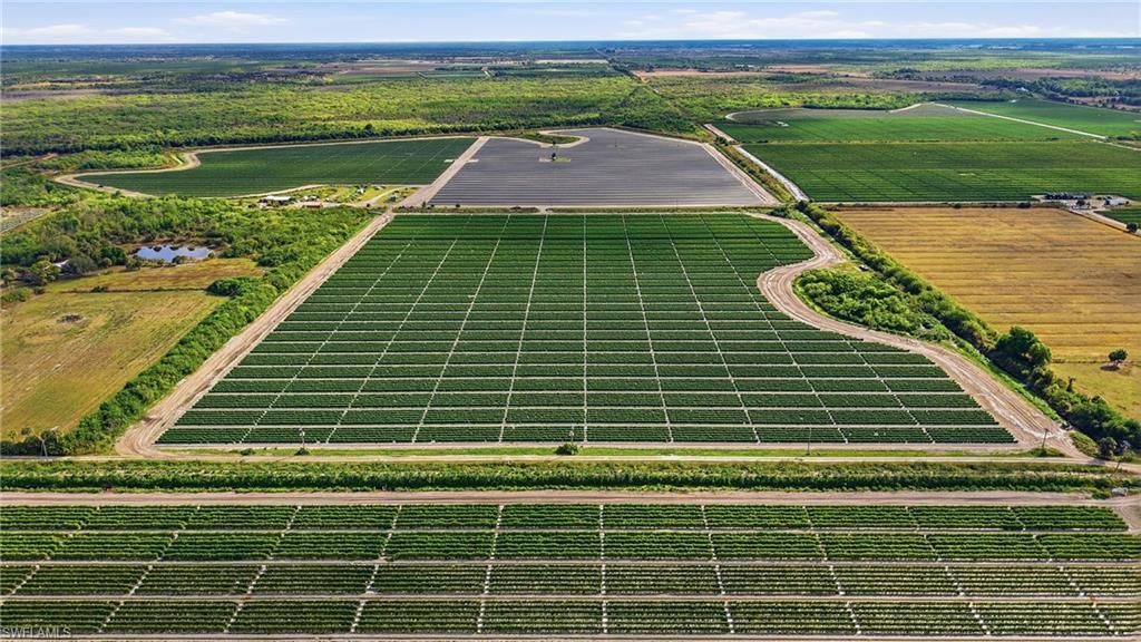 6150 Pringle Ln , Immokalee, FL 34142 Photo