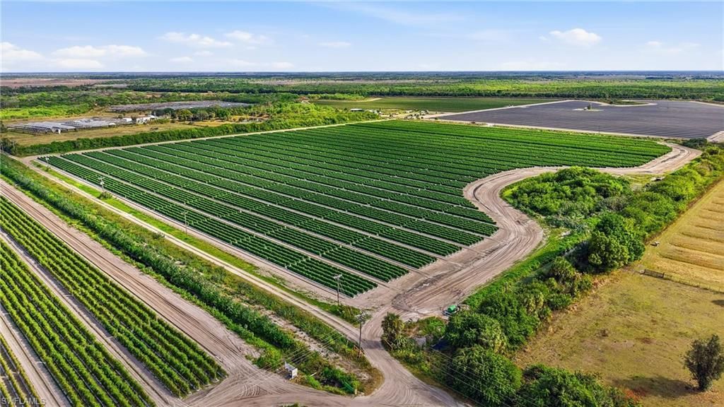 6150 Pringle Ln , Immokalee, FL 34142 Photo