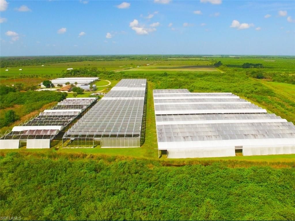 6150 Pringle Ln, Immokalee, FL 34142 Photo