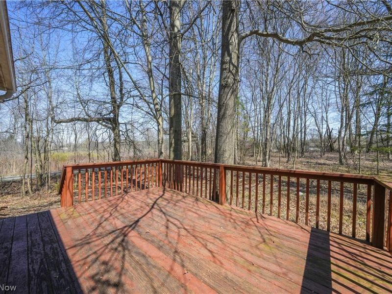 3450 Biltz Road, Kent, OH 44240 Photo 22