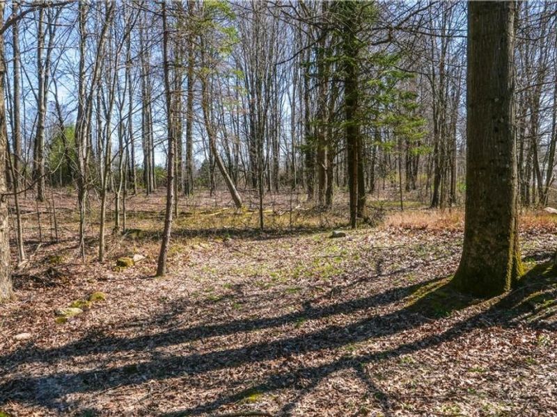 3450 Biltz Road, Kent, OH 44240 Photo 25