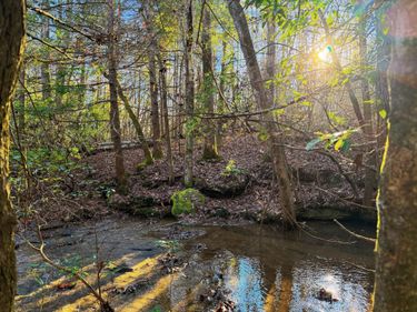 8888 Gibson Lane, Williamsburg, KY 40769