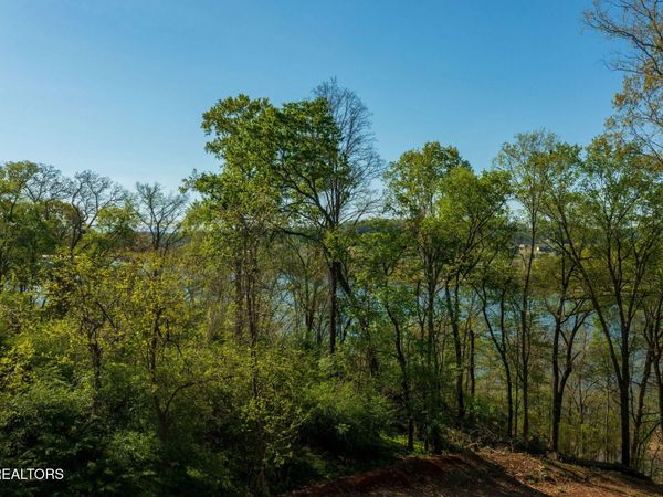 171 Cedar Grove St, Loudon, TN 37774