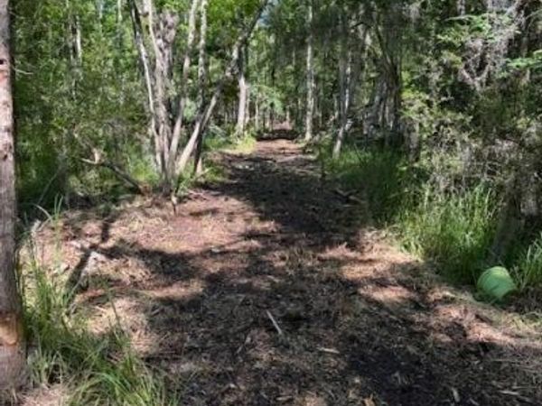 0 COPAL DAVID DR. Street, Mandeville, LA 70448