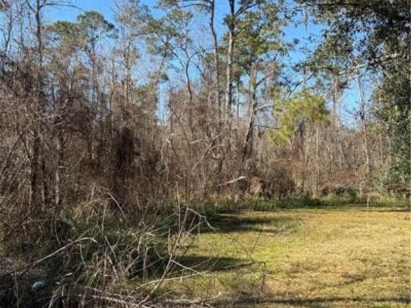 0 COPAL DAVID DR. Street, Mandeville, LA 70448