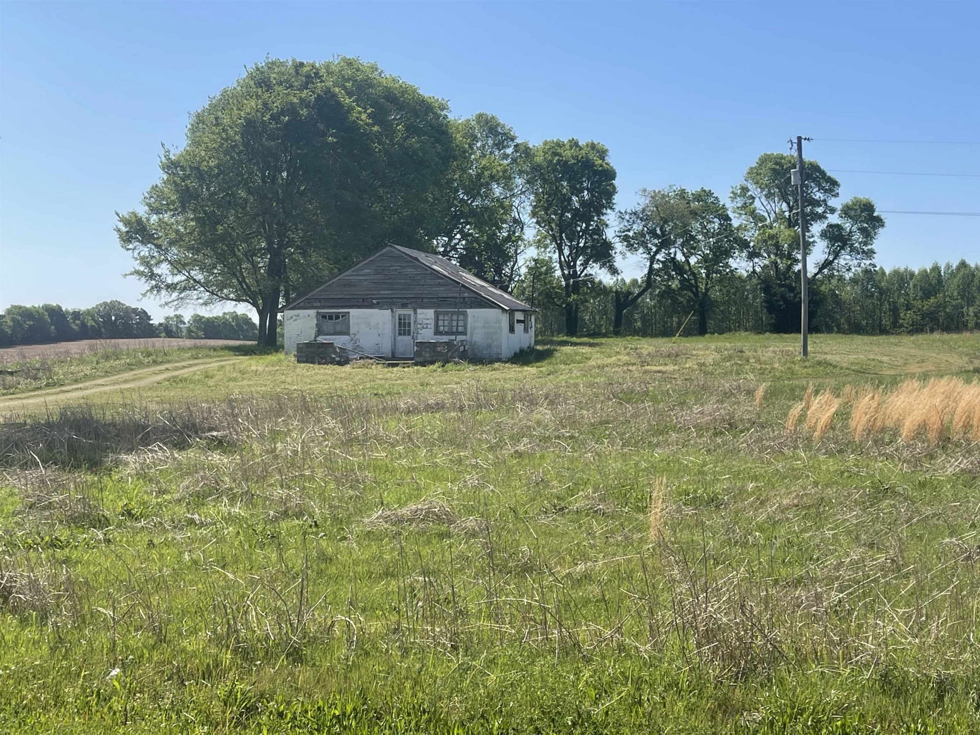 14380 Co Rd 2, Florence, AL 00000 Main Photo