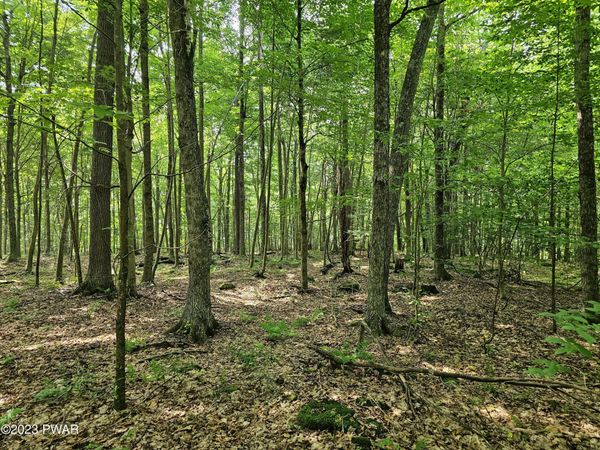 Lot 61 Rock Run Road, Equinunk, PA 18417