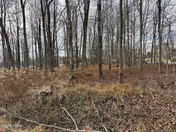 Lot 1 Hazelton Road Drive, Greentown, PA 18426