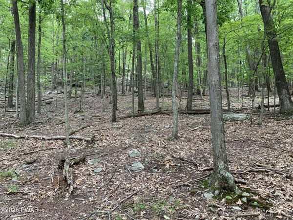 LOT 846 Alta Lane, Tafton, PA 18464