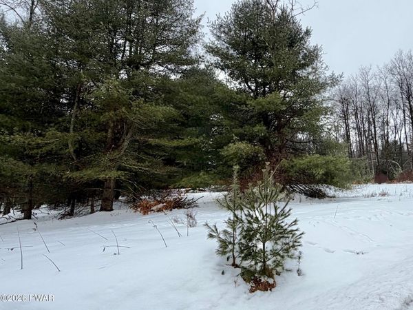 Meadows Drive, Hawley, PA 18428