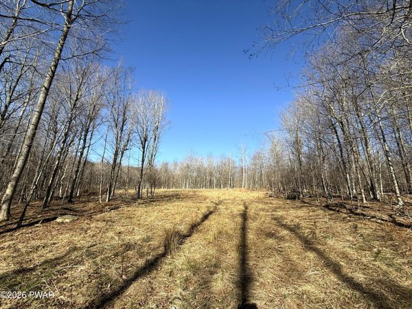 Lot 23 Bridle Way, Equinunk, PA 18417