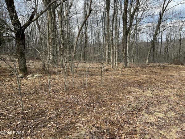 Lot 12 Sec 2, Newfoundland, PA 18445