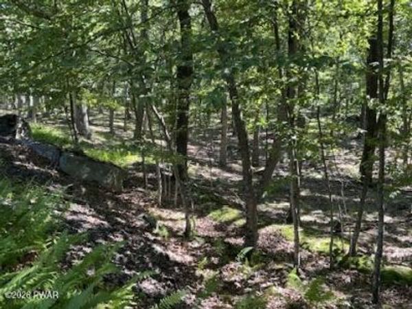 Lot 290 Mountain Top Drive, Dingmans Ferry, PA 18328