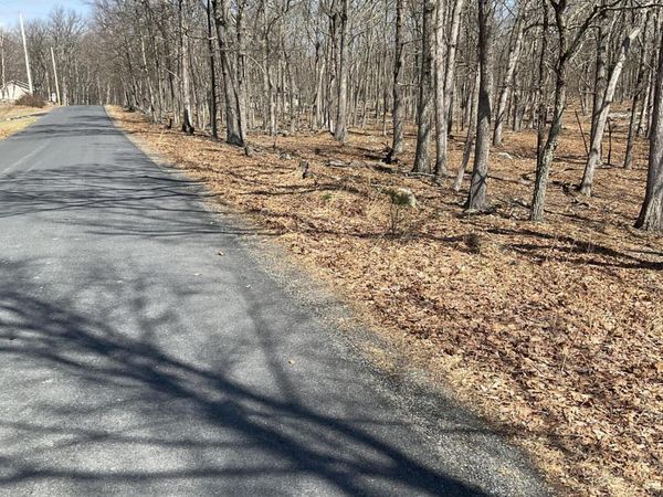 Lot 290 Mountain Top Drive, Dingmans Ferry, PA 18328
