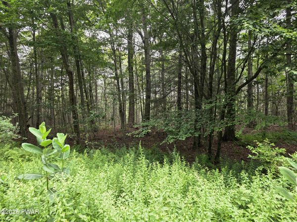 Lot113-116 Arthur Drive, Newfoundland, PA 18445