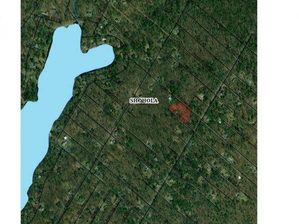 Neversink & Delaware, Shohola, PA 18458