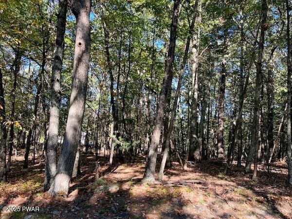 116 Primrose (Lot 31A) Lane, Dingmans Ferry, PA 18328