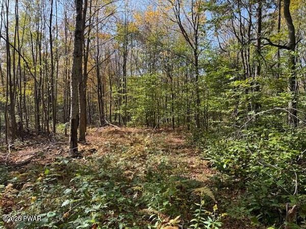 fairmont road Road, Starrucca, PA 18462