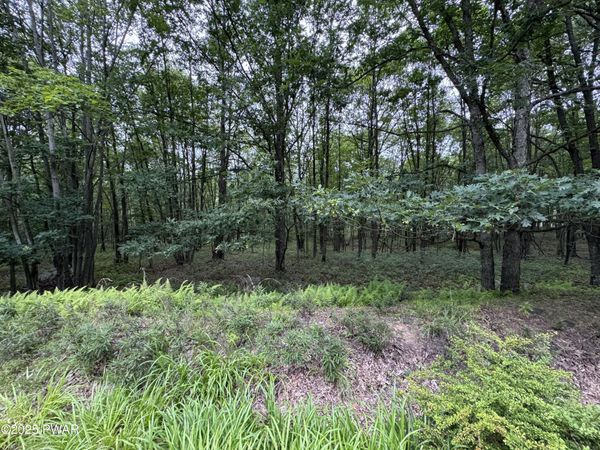 244 Elderberry Lane, Hazleton, PA 18202