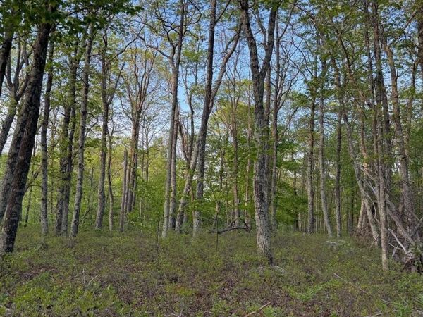 Lot 151 Wedgewood Dr, Hawley, PA 18428