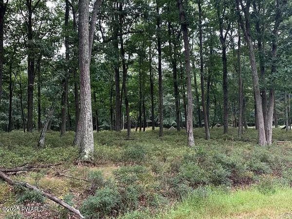 Buttonbush Ln Lane, Hazleton, PA 18202