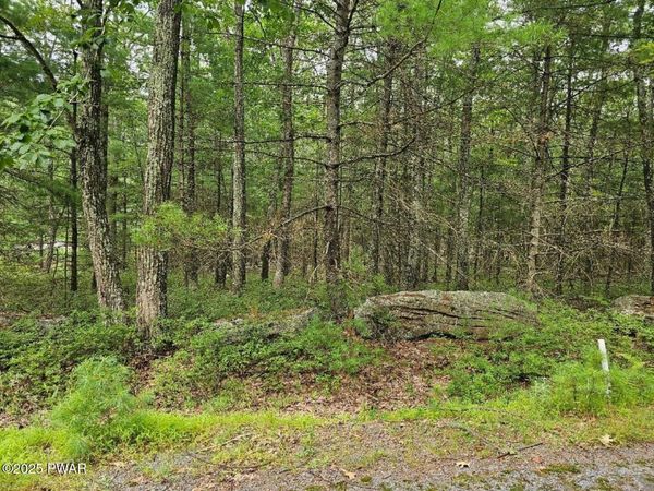 Lot 42 Ripplewood Drive, Tafton, PA 18464