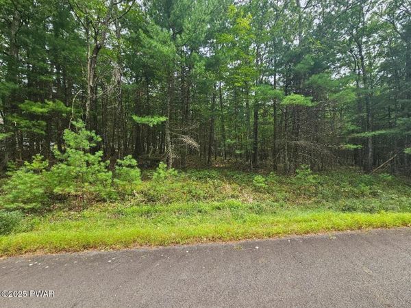 Lot 43 Ripplewood Drive, Tafton, PA 18464