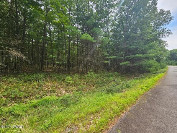 Lot 44 Ripplewood Drive, Tafton, PA 18464