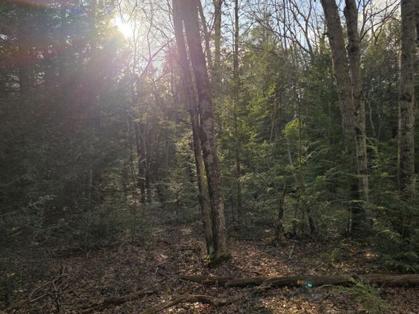 Snowy Ridge, Jim Thorpe, PA 18229