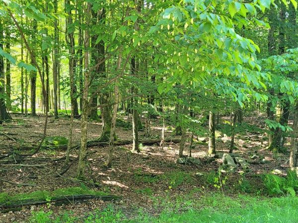 441 Northgate Road, Lake Ariel, PA 18436