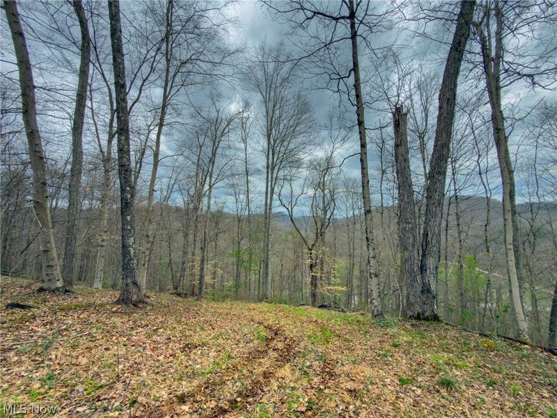 12450 State Route 26, Marietta, OH 45750 Photo 25