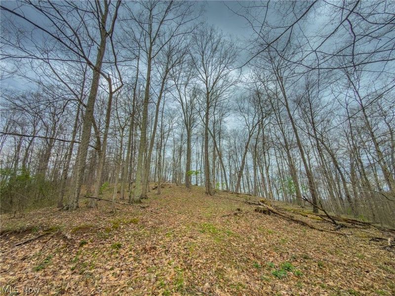 12450 State Route 26, Marietta, OH 45750 Photo 26