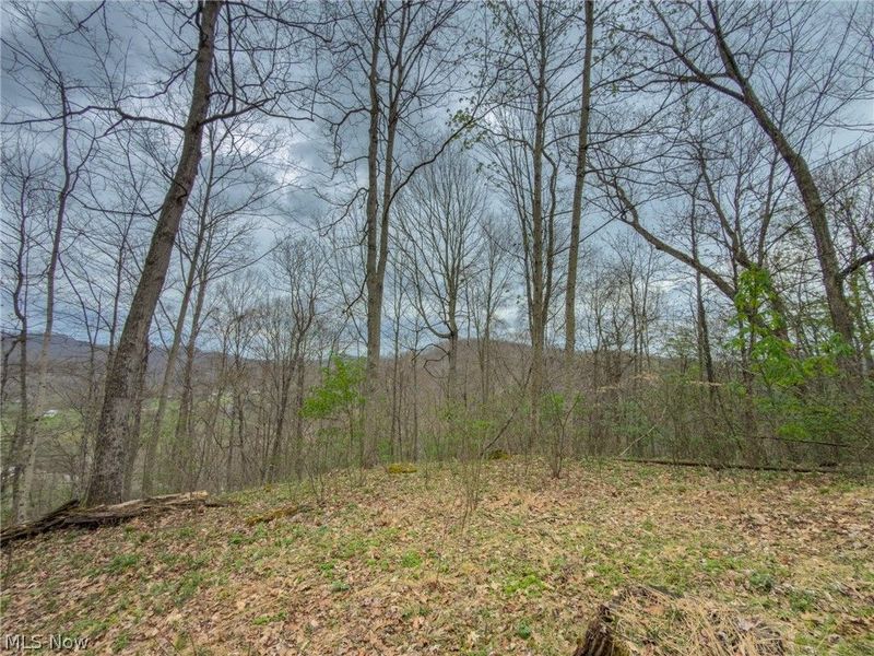 12450 State Route 26, Marietta, OH 45750 Photo 27