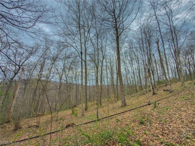 12450 State Route 26, Marietta, OH 45750 Photo 28