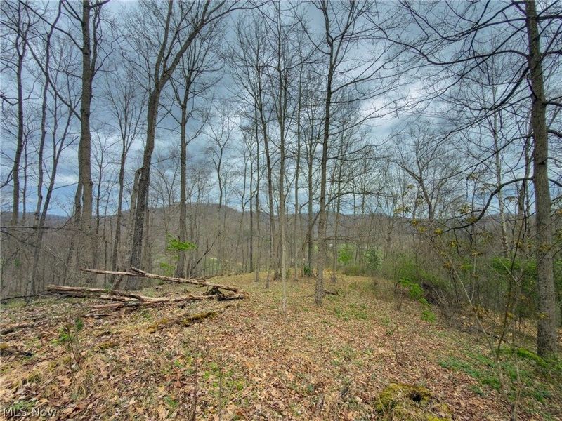 12450 State Route 26, Marietta, OH 45750 Photo 29