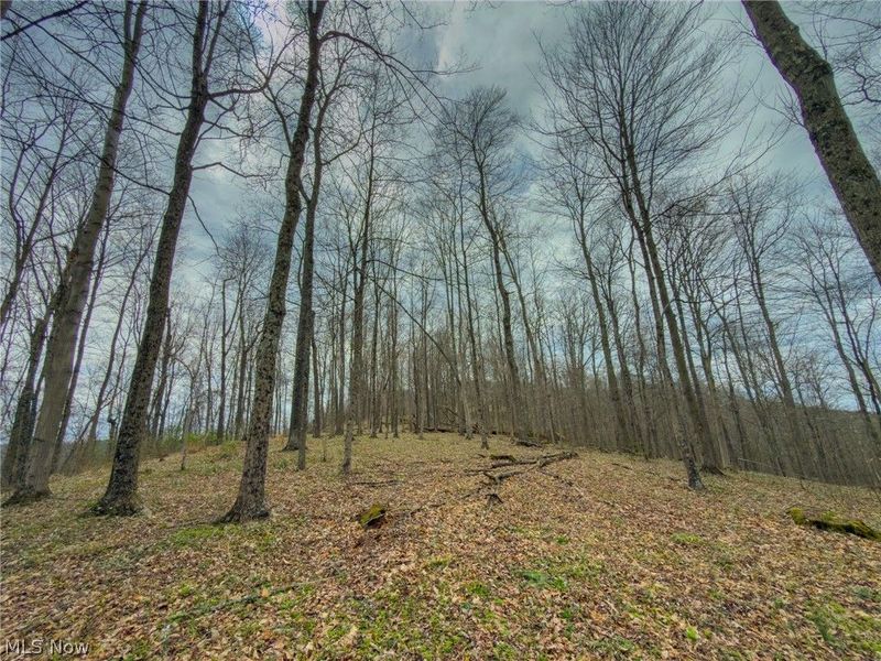 12450 State Route 26, Marietta, OH 45750 Photo 30