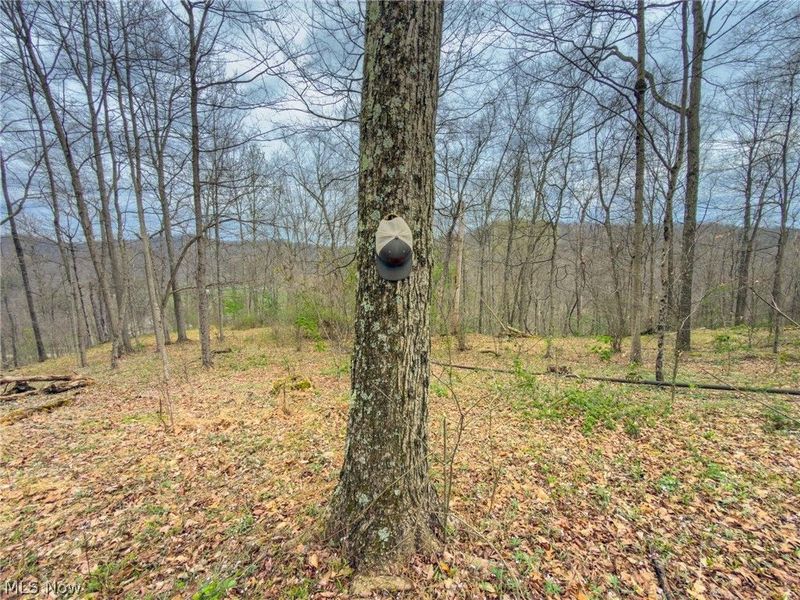 12450 State Route 26, Marietta, OH 45750 Photo 31