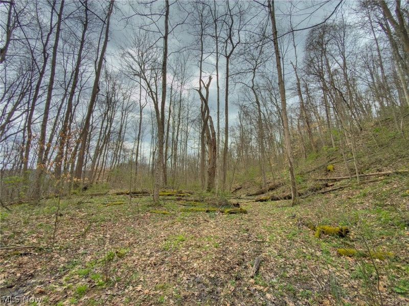 12450 State Route 26, Marietta, OH 45750 Photo 33