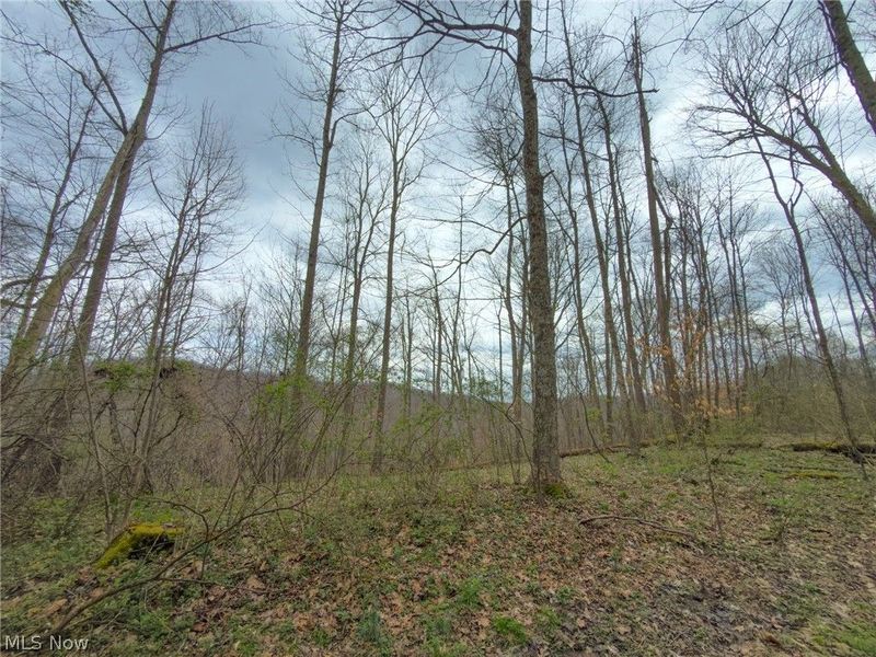 12450 State Route 26, Marietta, OH 45750 Photo 34