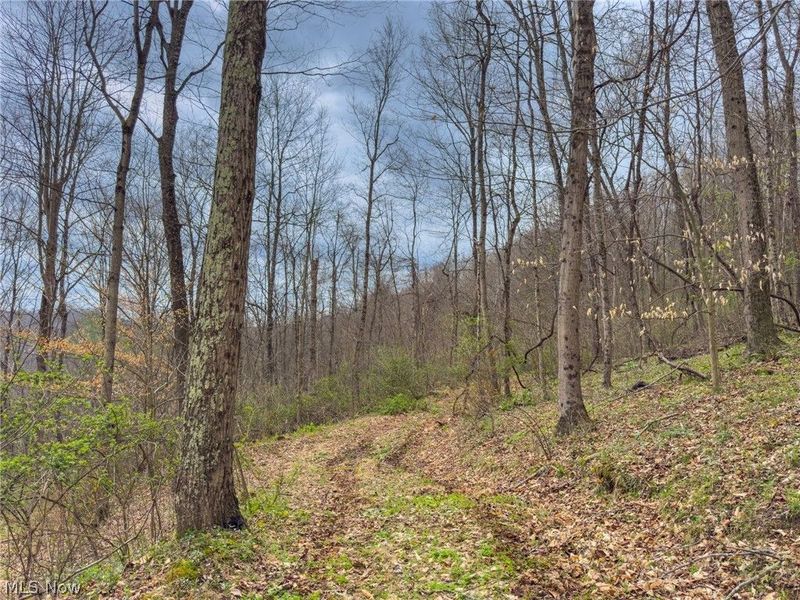 12450 State Route 26, Marietta, OH 45750 Photo 35