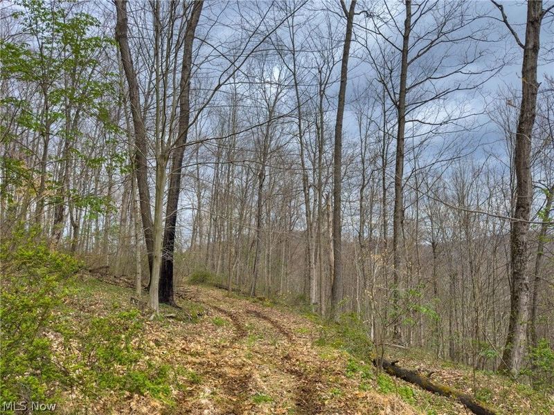 12450 State Route 26, Marietta, OH 45750 Photo 36