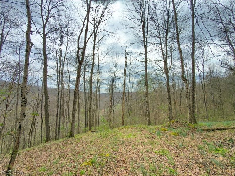 12450 State Route 26, Marietta, OH 45750 Photo 37