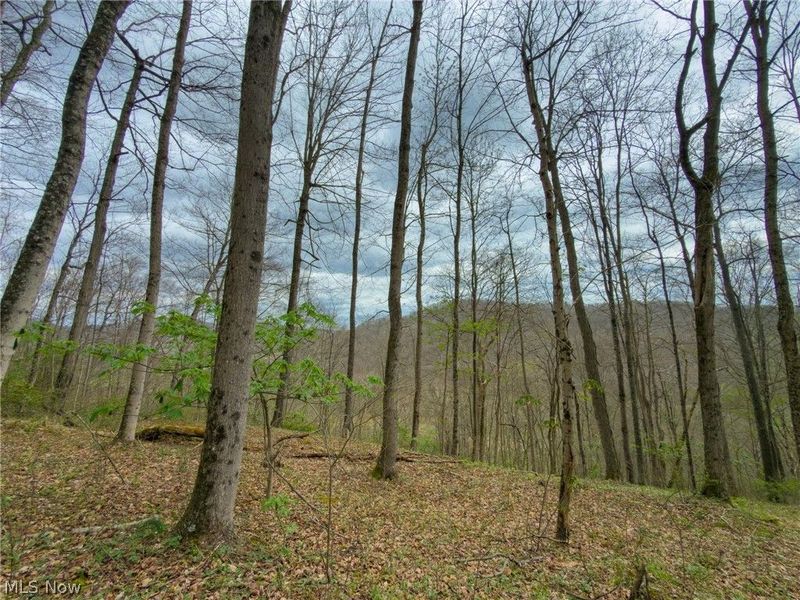 12450 State Route 26, Marietta, OH 45750 Photo 38