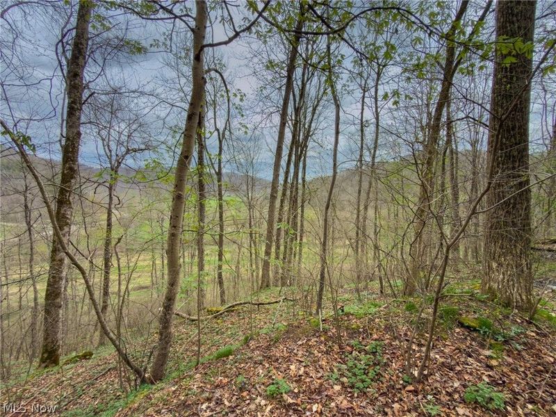 12450 State Route 26, Marietta, OH 45750 Photo 39